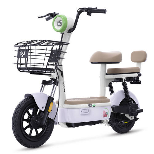 48V 20AH �õ������ۼ�1849Ԫ ��Դ����11�綯���г�Ů��С��