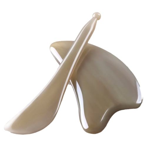 ���ڲ�������ɫ ��Ȼţ�ǰ�ҩ�����֤