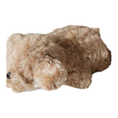 ��ɫ̲��ë���Ȯ���� 50x25x15cm ELIN LONYAIN̲��ë�����ż���� 292.47Ԫ(������)