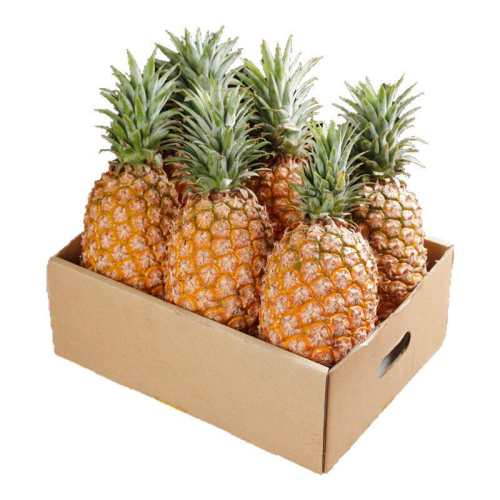 ���Ͻ����������ˮ��������â��������ˮ���ܴ������������� 1.5�� �Գ�װ����������?��С���ġ�