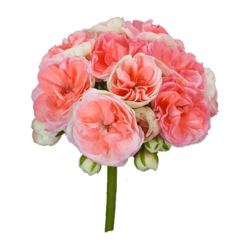 *��ֲ����* ͨ��Ӫ���� 12L �����Ժ� �������ÿ����Ի����ذ��ļ����� 33.93Ԫ��3��(��11.31Ԫ/������88VIP 95��)