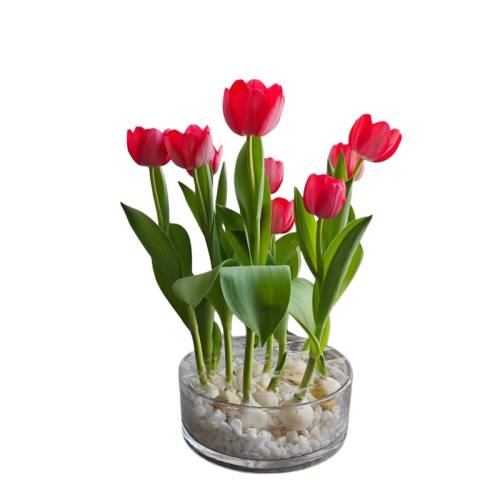 12+ Ӫ��Һ2������������ ��������������ˮ�໨������ֲ�� 4.1Ԫ