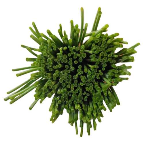 ��˳�᡿��������ɳ���ֹ���ѡ����ɳ�����á��û����⡿ 1�� 17.94Ԫ