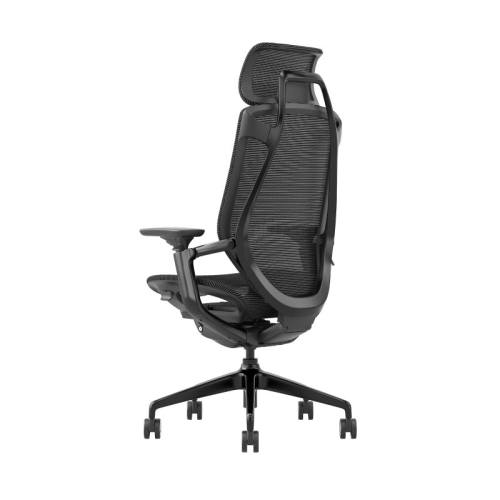 BIRCH�羺��-��ɫ�� ���Ͻ�� 3D���� ����BIRCH�羺�ξ��������� 4209Ԫ(������)