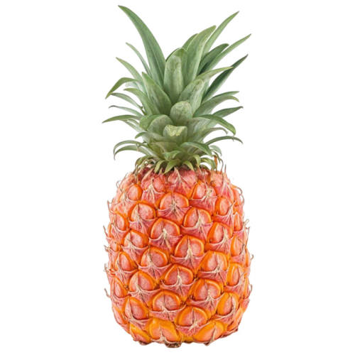 ���Ͻ����������ˮ��9�ﵱ����ɫ������ˮ�����ز������������ 3�� ʵ��װ������0.9-1.3��������飡 16.8Ԫ