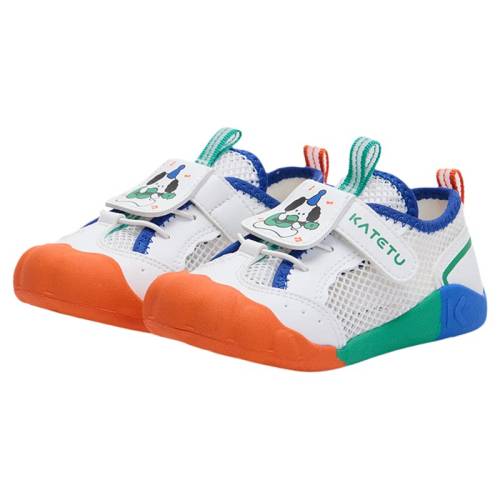 ������ 20�� �����ñ���ѧ��Ь2026�괺������ѵ��ЬС��Ь͸���׶�԰����Ь