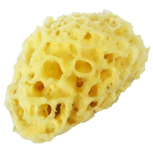 #5ϸ����-5cm ��Ȼ���౦����ͯ���躣������ 71.1Ԫ