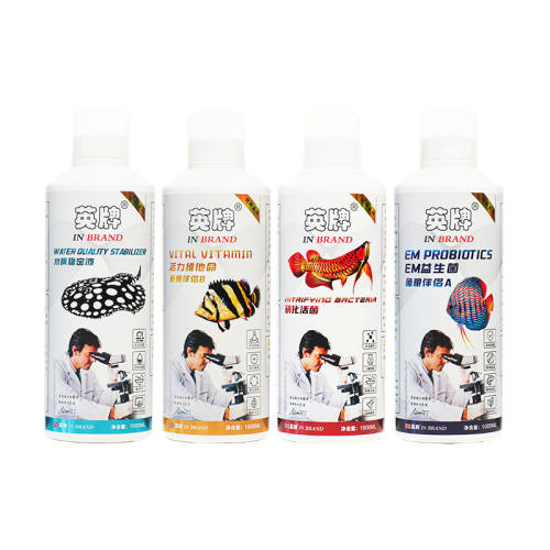 ������600ml Ӣ��������ˮ�ȶ๦�ܾ������� 282Ԫ��4��(��70.5Ԫ/��)