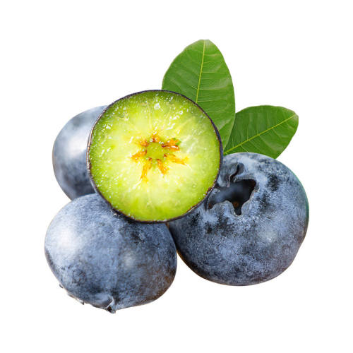 ������ѡ������ݮ����ˮ����������ʱ����������������� 125g 4�У�15mm+�� 51Ԫ