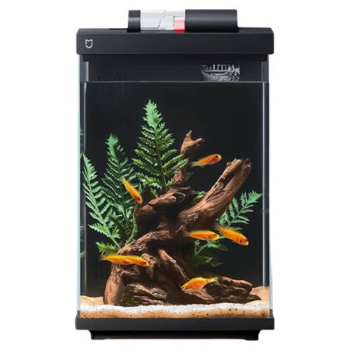 ���˵��� 2025�¿�С��������� 8.82Ԫ