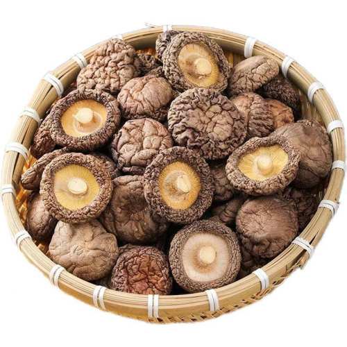 ��51g ����޸����㹽(�����»�) �����㹽�ɻ���������޸����㹽�»���������Ģ����ũ���ȳ����� 4.99Ԫ