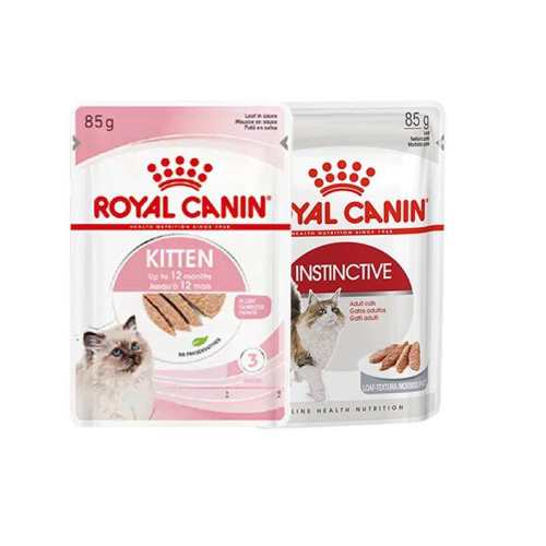 �ۻ��㣺��èȫ��ʪ����Ľ˹���ࣩKLP 85g �ʼҳ���èȫ��èʪ�� 520Ԫ