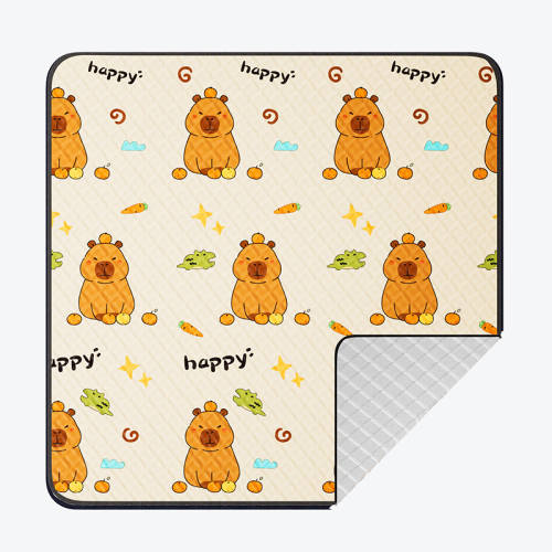 ��������С��������100*150cm��С�ɱ�Я�� ��Ʒ��֮ѡ��200g���Ӻ������ 45.9Ԫ