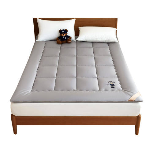 ����Լ3-4cm��40֧�޻��������-��ɫ 90x195cm-ѧ���� TeenieWeenieȫ���޻��������� 220.15Ԫ(������)