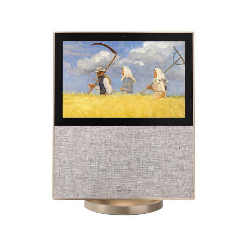 �ٷ����� С��X10 ��ɫ С��������X10����������ٷ����콢����Ʒ2025�¿� 699.55Ԫ(������)