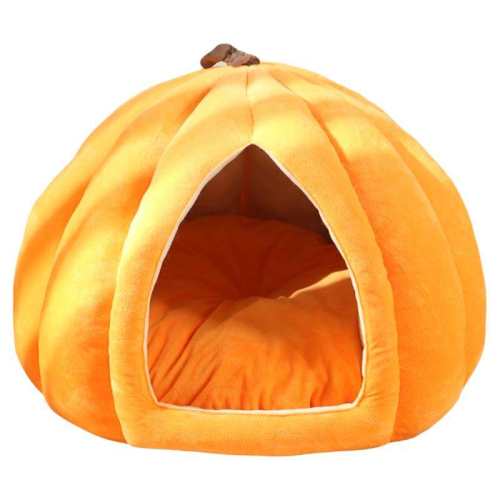 �����������桿��ɫ�Ϲ�è��  �Ӵ�Ӻ�/���岻����