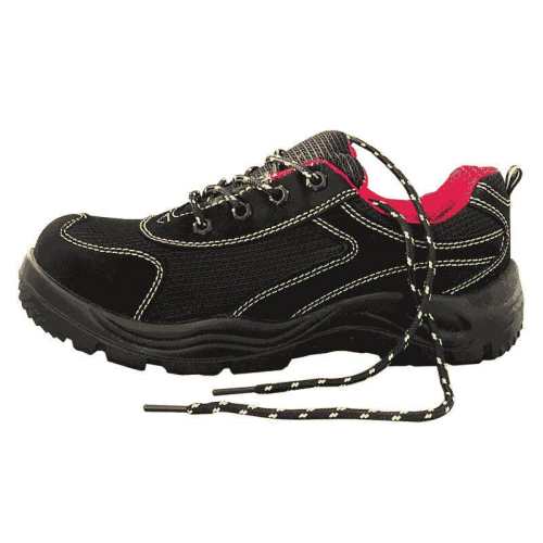 36 �ļ���XD514-������-�۰���ʵ�ĵ� �ļ���������͸���ͱ�Ь 49Ԫ