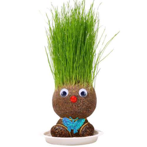 ��ͷ����1������1���+1���У� ħ����԰�������޽�ˮ�ͳ� 7.7Ԫ