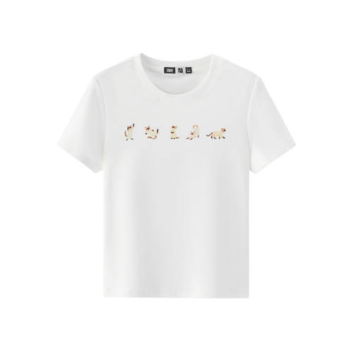 ����10102 155/80A/S ɭ��Сè��������̿����T��Ů 232.4Ԫ��4��(��58.1Ԫ/��)