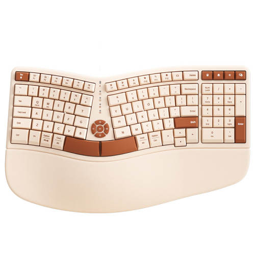 �̿�ɫح���߼���ح��ذ�ح�������� 101�� Ԥ��������_BOW���幤ѧ������� 149Ԫ(������)