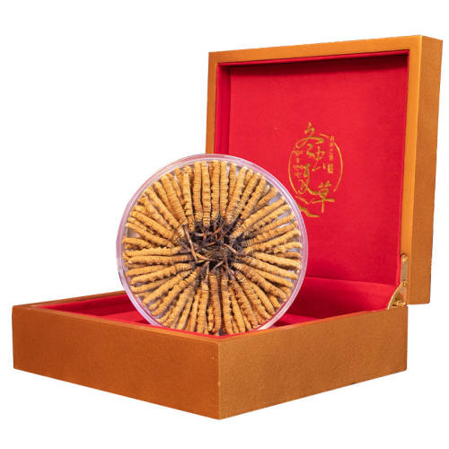 4��/�� 20���������װ���µ���2���� �����������������Ĳݹٷ��콢����Ʒ40��10��ͷ�ڳ��50�����װ 558.99Ԫ