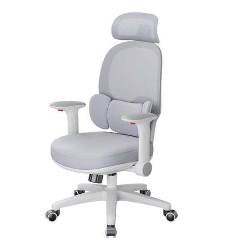 x19���������Żң���������������1 ������ ��ת�������� ϰ��ѧϰ��������ѧ���� 656.2Ԫ(������)