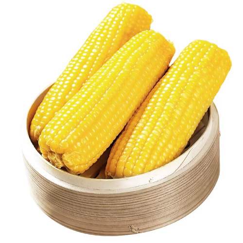 ���ڶ�����Ŵ������հ�װ��Ŵ���׼��ȼ�ʳ������Ŵ������ͱ��� ��ת���򶫱���Ŵ��250g��*8֧ 18.89Ԫ