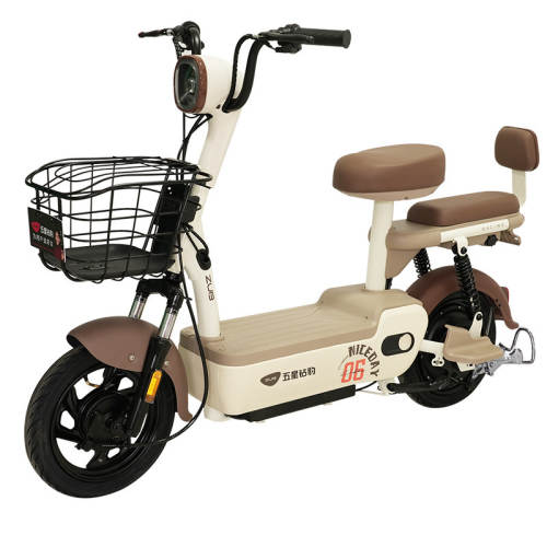 ���ڲ�����22AH ����/Դ��ů��/F������ �����걪�¹���48Vʯīϩ�綯�� 1598Ԫ