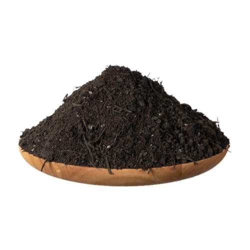 �� ׷��?���ɹ�ֱ������״5����긯�췢�Ͳ���ɳ�� ��෢���л�������Ʒ���������� 10.9Ԫ