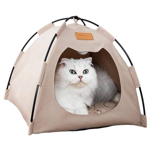 ����ɫ���͡�˫������ѵ桿 S������4���ڳ�� ����������100W+��è��¶Ӫ���� 21.8Ԫ