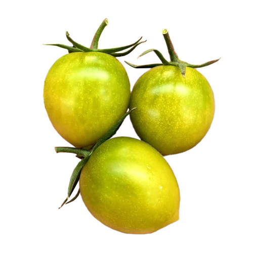 �ٺ����������� 10��/�� ����2����ɫС������������ӣ������������������������ʥŮ���� 5.99Ԫ