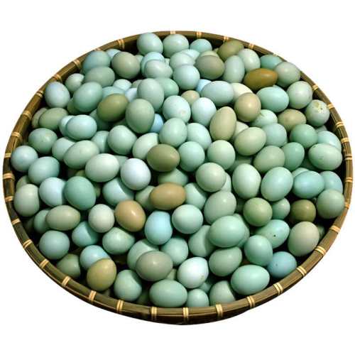 ���ڲ�����16ö ˳���͵���ح�̿��ڹǼ���ح�Ƚ�С �͵��̴�  ��Ӫ�� ũ���ڹǼ��� 19.9Ԫ