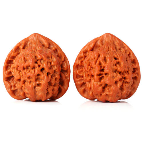 ���ֺ���һ�� ������� ���¹�ñ �ְѼ����� 15.42Ԫ��3��(��5.14Ԫ/��)