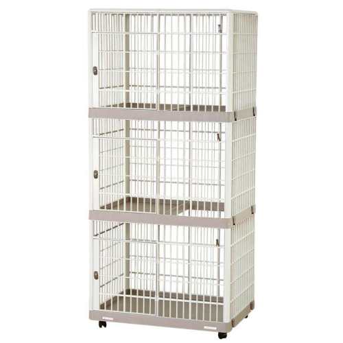 һ��С�� ���ʴ�ռ� ����˼��֬è����������������