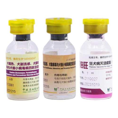 2ƿ ������Ȯ���������������Ȯ 24.8Ԫ