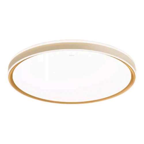 ���ڲ�����C���ǻ���-������ɫ��24W������III�� ����ŷ������ȫ��������������led������Բ�����ҵ�����2025�¿� 166.6Ԫ(������)