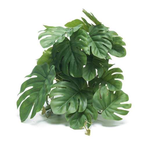 ��ɫ�걳Ҷ��С�� �����쾰����ֲ������������װ�� 23.2Ԫ