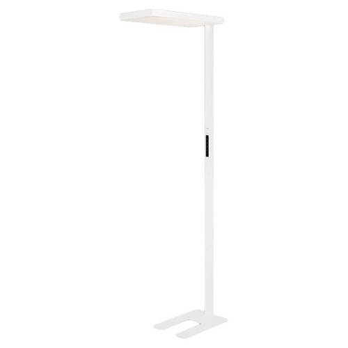 ���ڲ�����������X�Ϲ��100W���Ϲ�����/T?V�ϵ���֤/��ť���⡾�Ϲ��100W���Ϲ�����/T?V�ϵ���֤/��ť����/����ͷ��19mm/����ͷ��19mm ������ʽ���۵ƻ��۵��Ϲ����� 1495.15Ԫ(������)