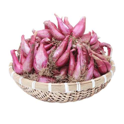 ���װ���ͷ���ļ���ֲ ���췢ѿ�� ��������ļ���ֲ���ͷ 7.9Ԫ