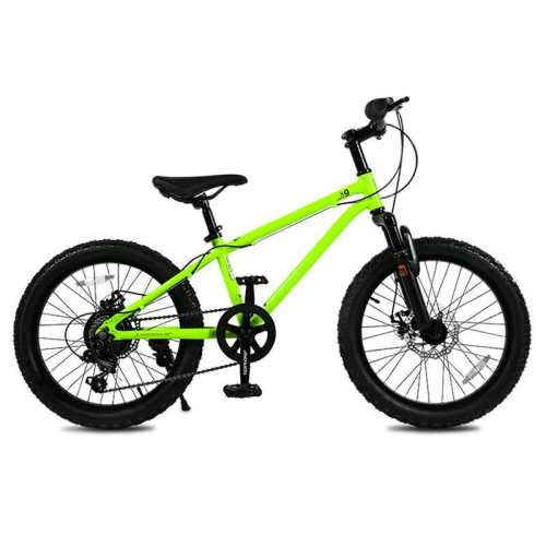 �������� ������ѧ�����г���ѡ�� ��̼�ֵ���ͯ����16������� �Ƽ�105-135cm ���ɽ�س�X9 ������������г�