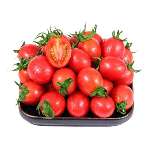 ���ڲ�����1�� ��ͨװ{�Գ�װ������С���������� ������ժӣ��С���ѹ�С������ʥŮ��С������������ժˮ����ǧ�� 7.7Ԫ