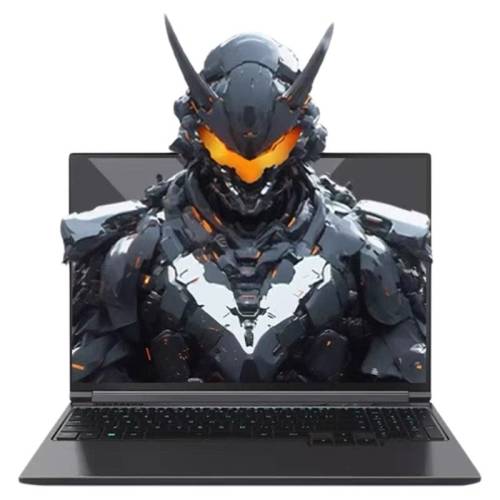 ��е��������X/����16Pro/16K/ҫ��4060/5060 ������Ϸ�ʼǱ����� ����16k R7-7435H/RTX4050/165HZ/1K 512GB ��̬Ӳ�� 16GB 4496Ԫ