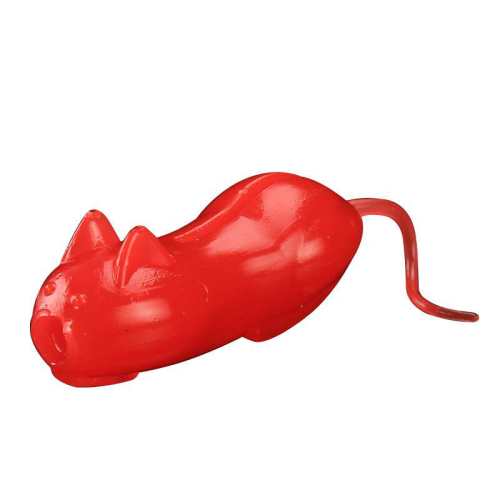 С��.��ɫ6ֻ(�޹�) �������¿�·�Ƕ����ר������ 11.8Ԫ