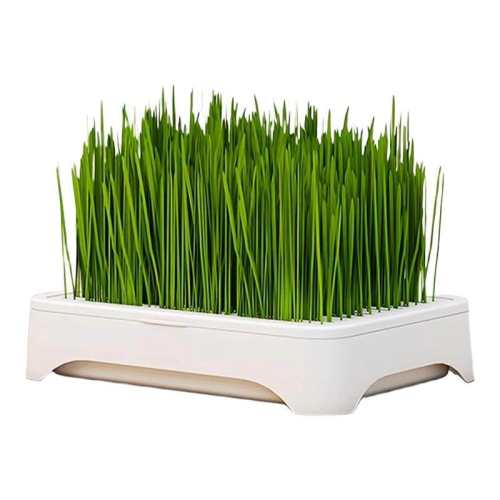 ��ѡè������2��/20�ˡ��������Ρ� ����ˮ��è��������ֲ������è������������С��ë���������� 3.8Ԫ