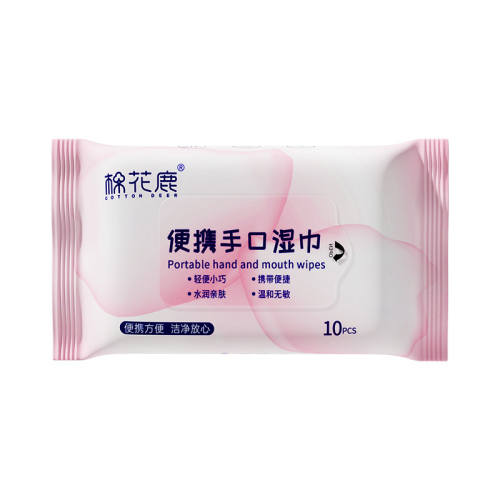 5�� �޻�¹��Я�ֿ�ʪ��С��10��װ 6.9Ԫ