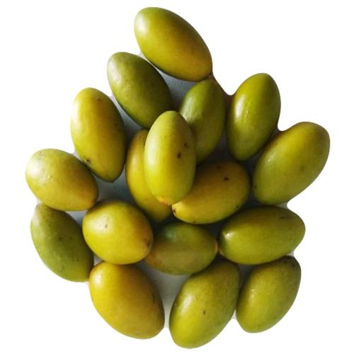 ���Ʒ���ִ�������ʦ�� 19.8Ԫ