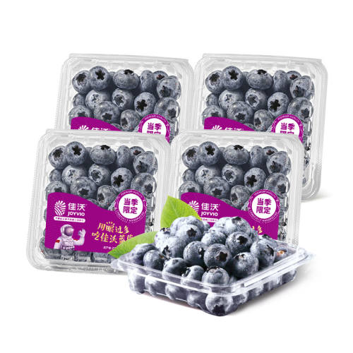 ��������ɽ����ݮ 4/6��װ ��125g/�У������ʹ� 4�� �й� 14-17mm 48Ԫ