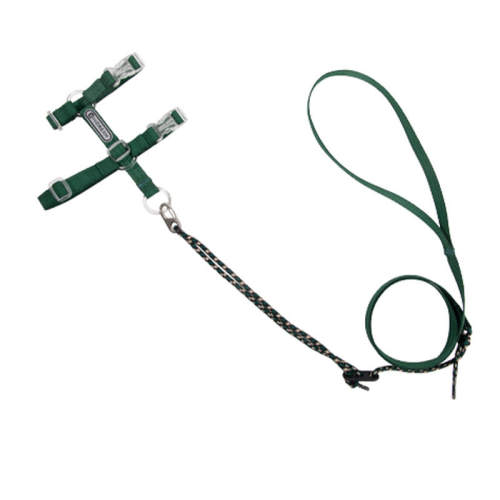 ��ʯ�̡������ɵ��ڡ� HiDREAM�ɵ����ر����ַ����� 44.8Ԫ