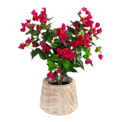 ����ɯ�������ӣ��160 �����Ժ� ��ɯ�Ļ�԰����÷�ļ����ڻ��� 29.8Ԫ