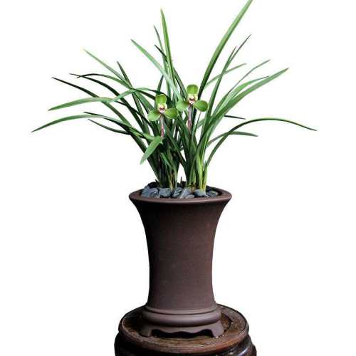 6.8 ������ ֱ����������ɱ����Ũ��һ���� 6.8Ԫ